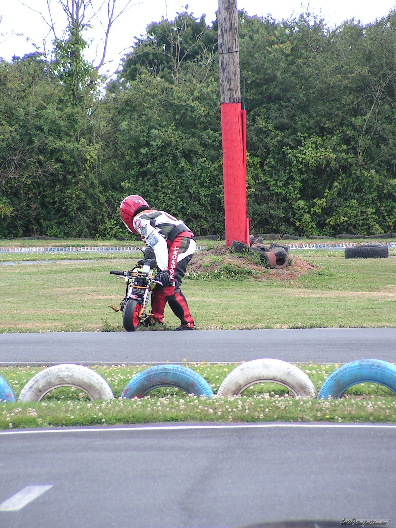 Photo 1347923