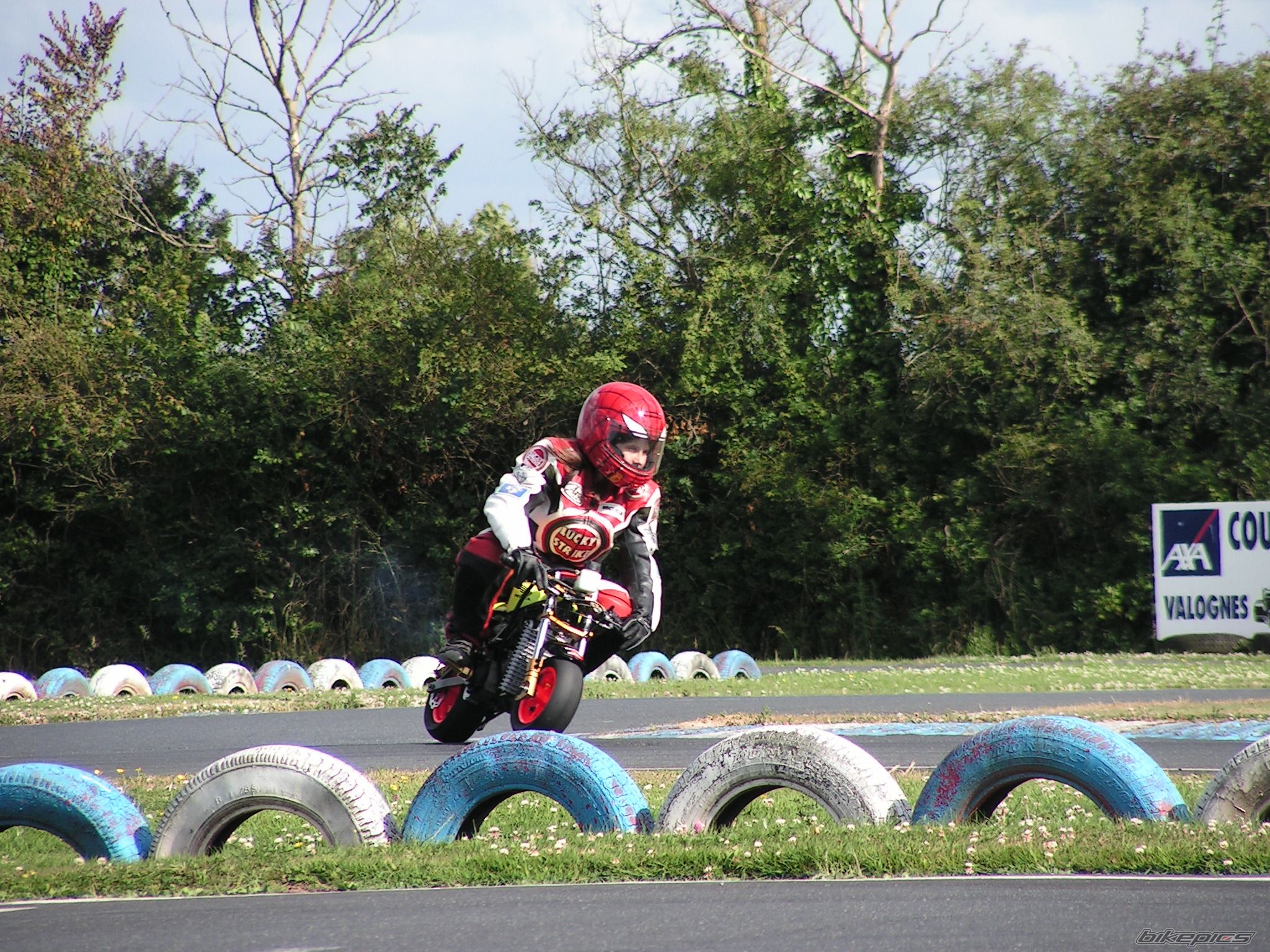 Photo 1347935