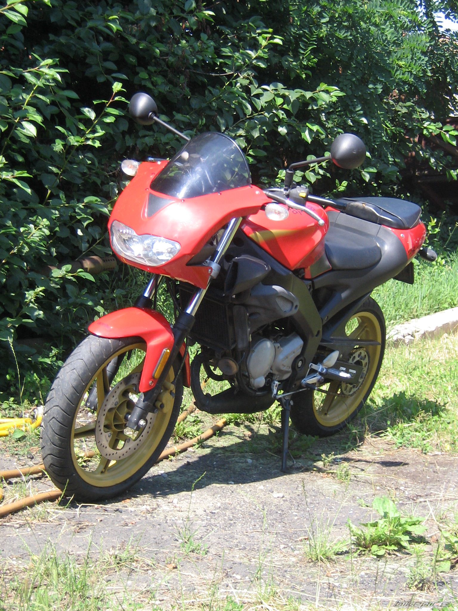 Photo 1347938