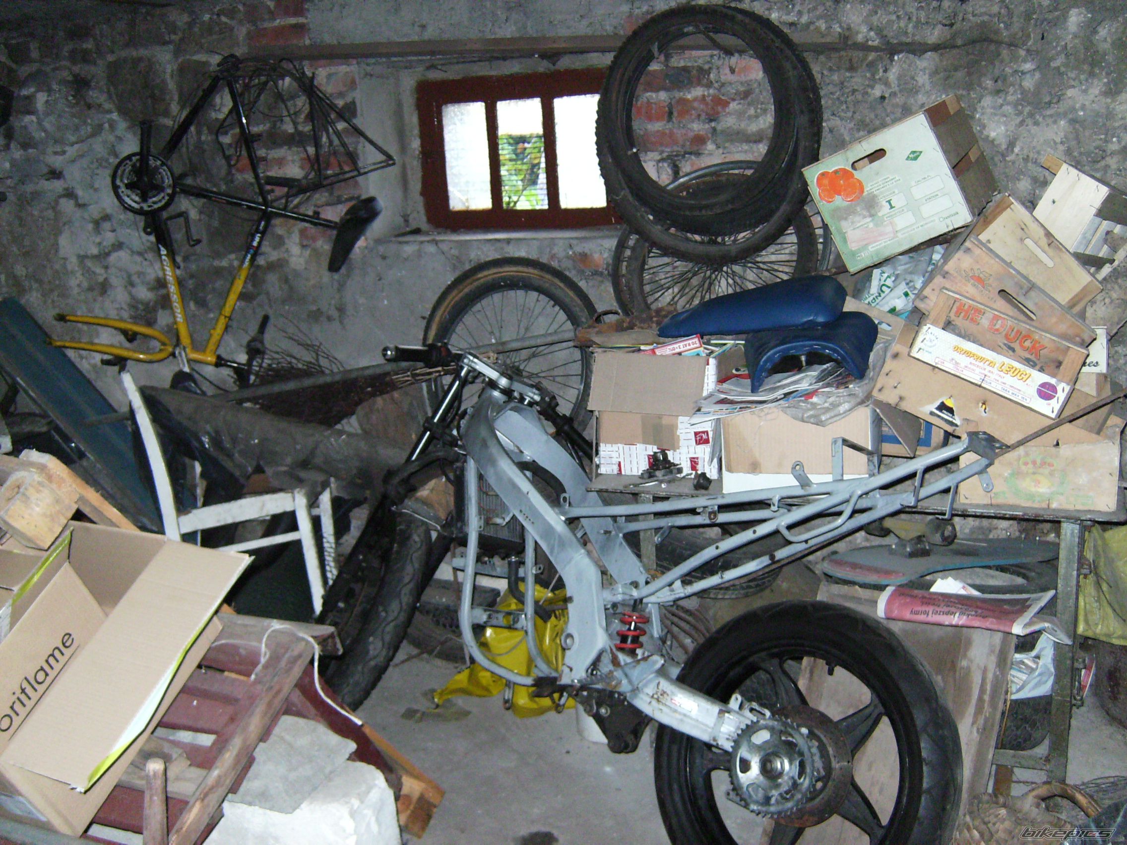 Photo 1347942
