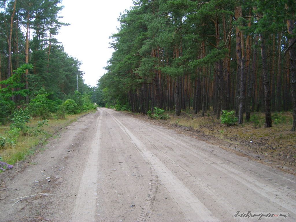 Bike Photo 1347953