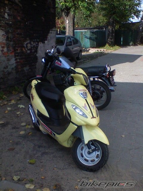 Photo 1348085