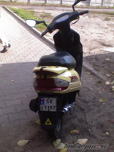 Photo 1348086