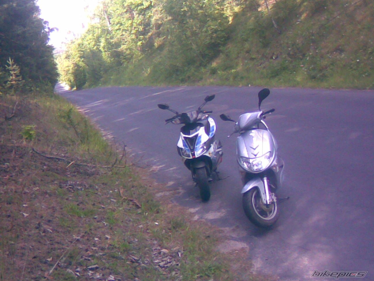 Photo 1348176