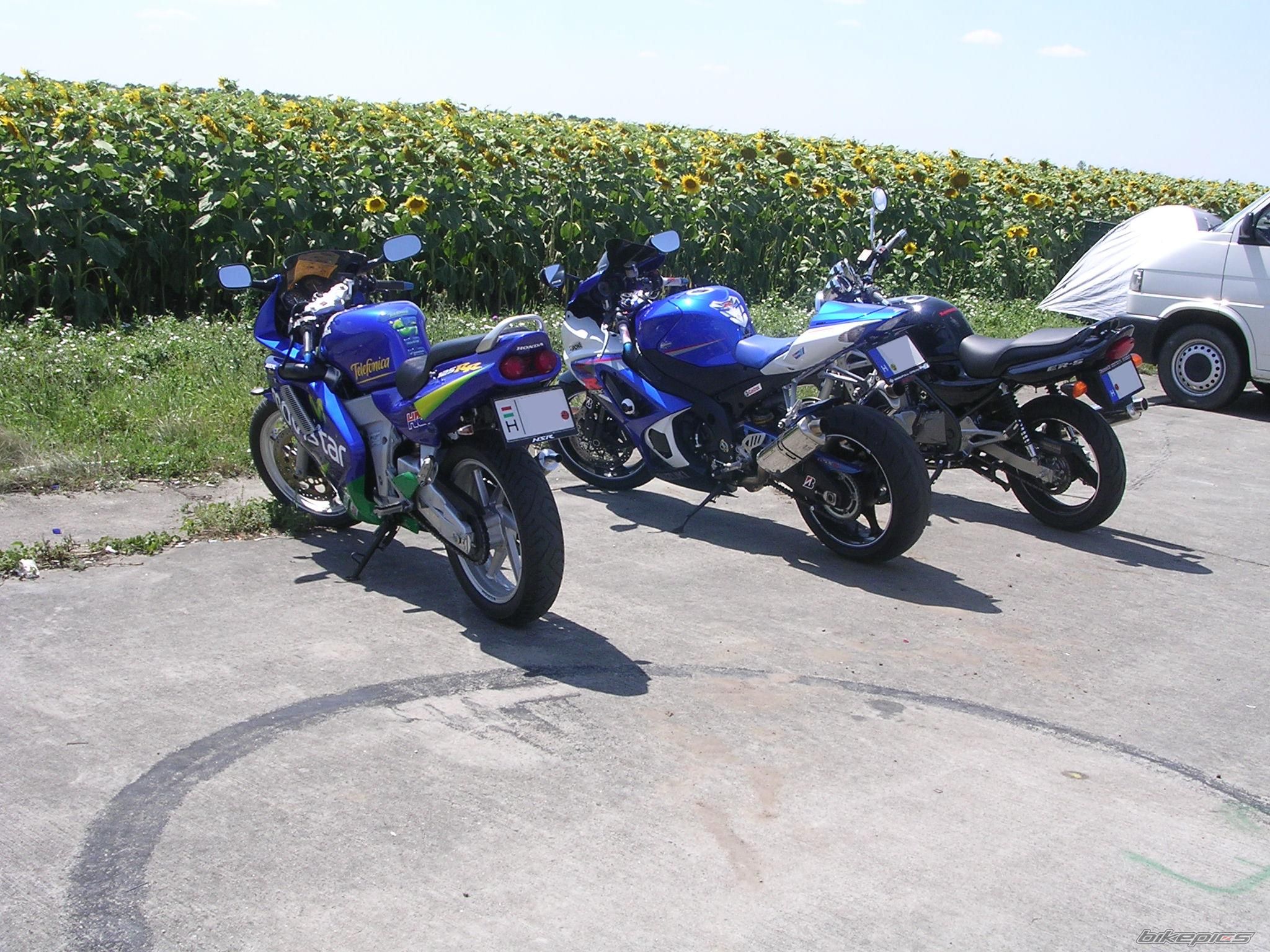 Photo 1348200