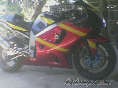 Photo 1348249