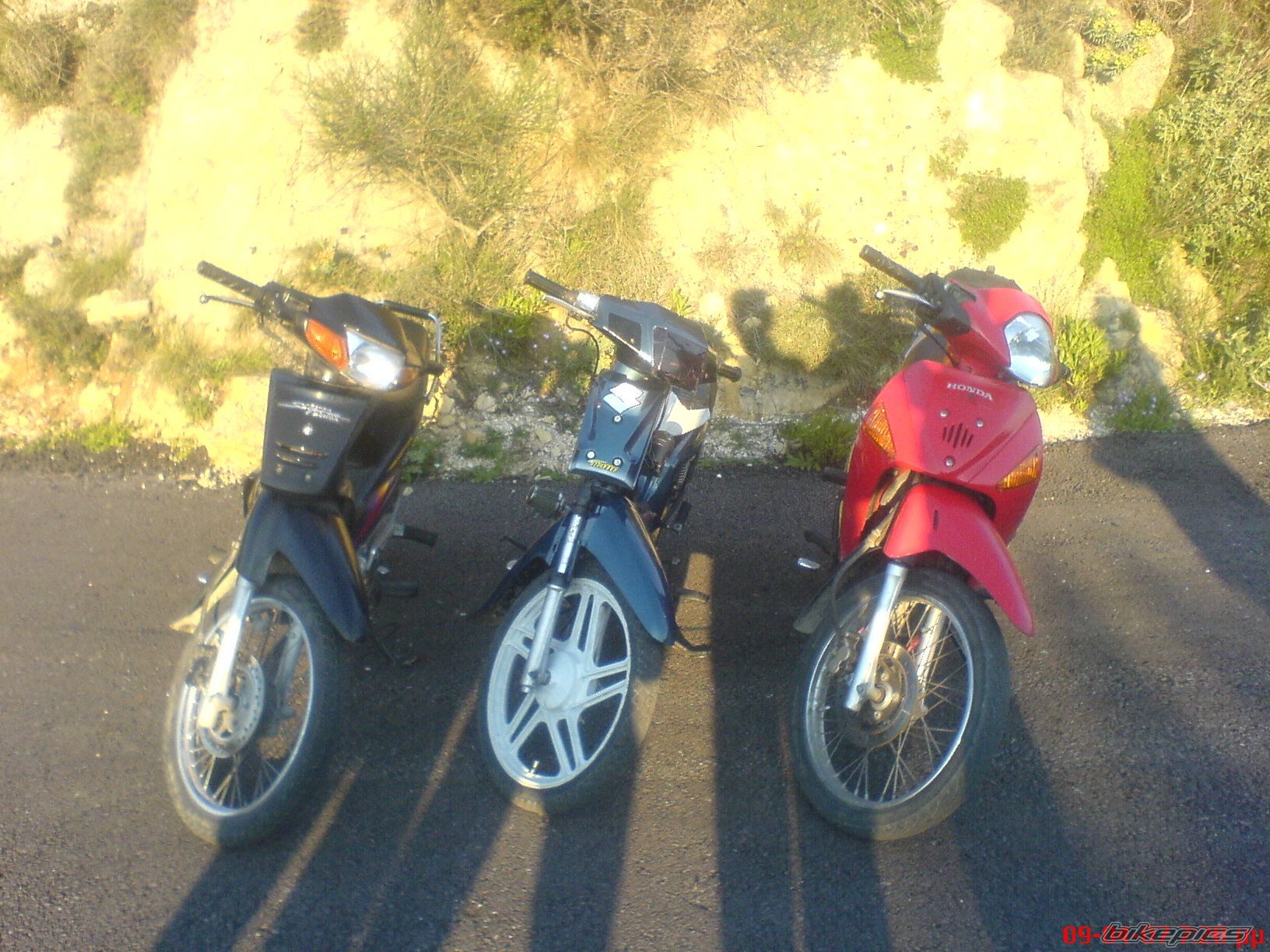 Photo 1348453
