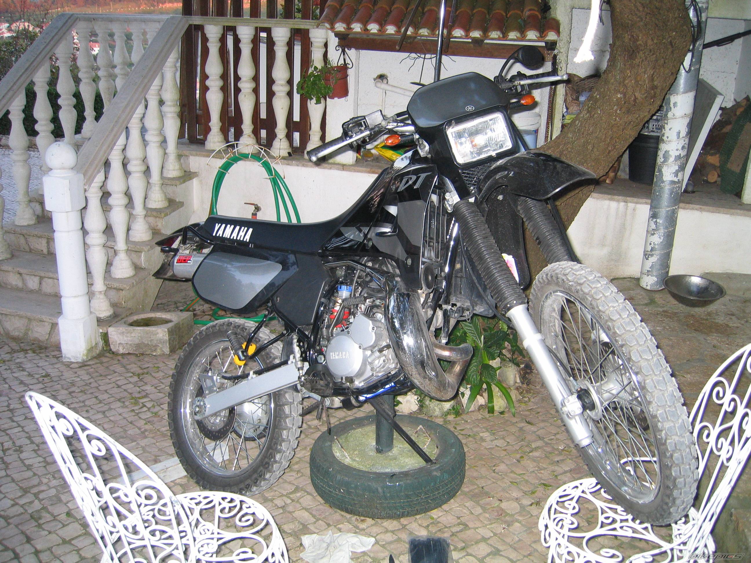 Photo 134847