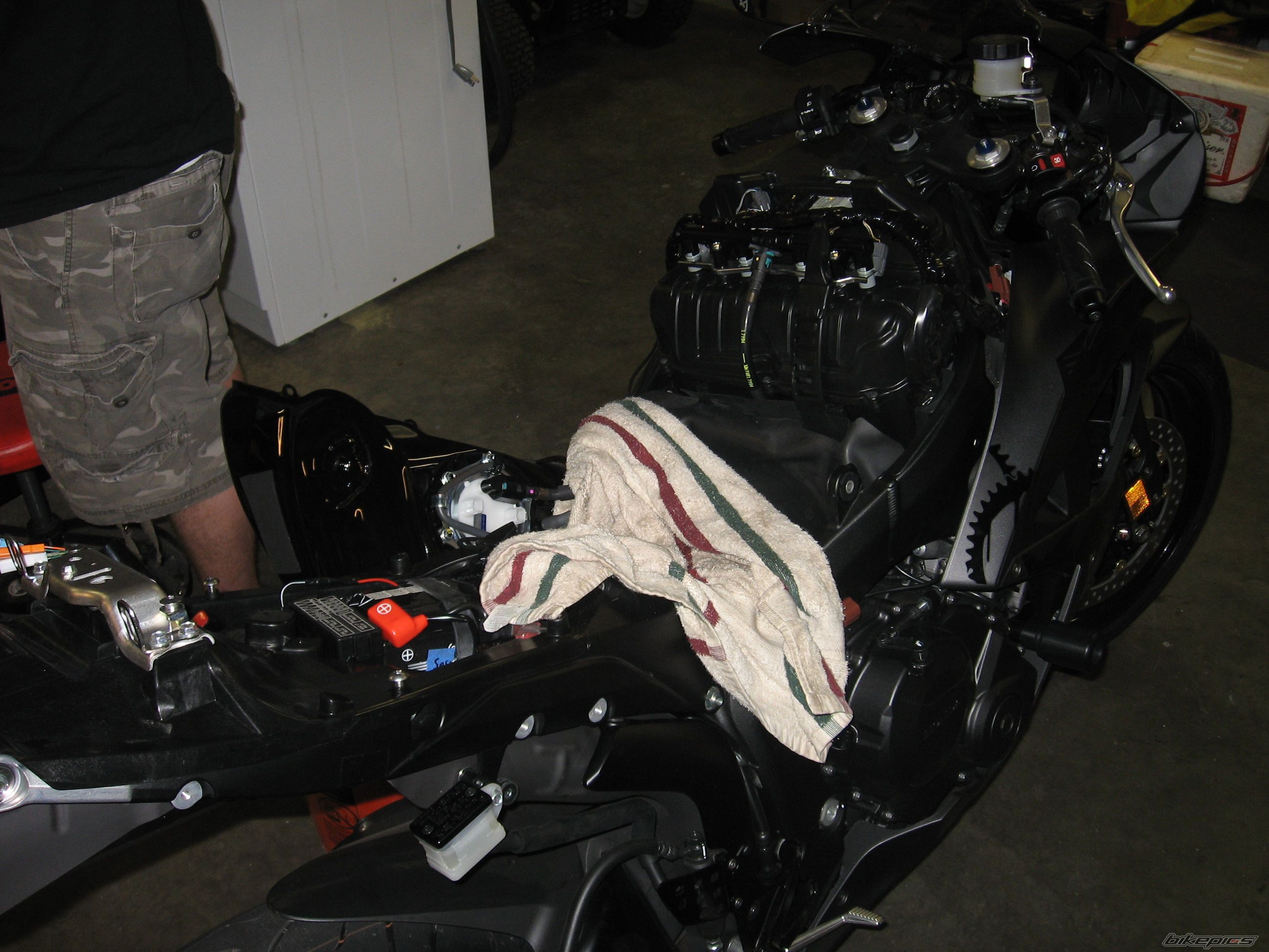Photo 1348533