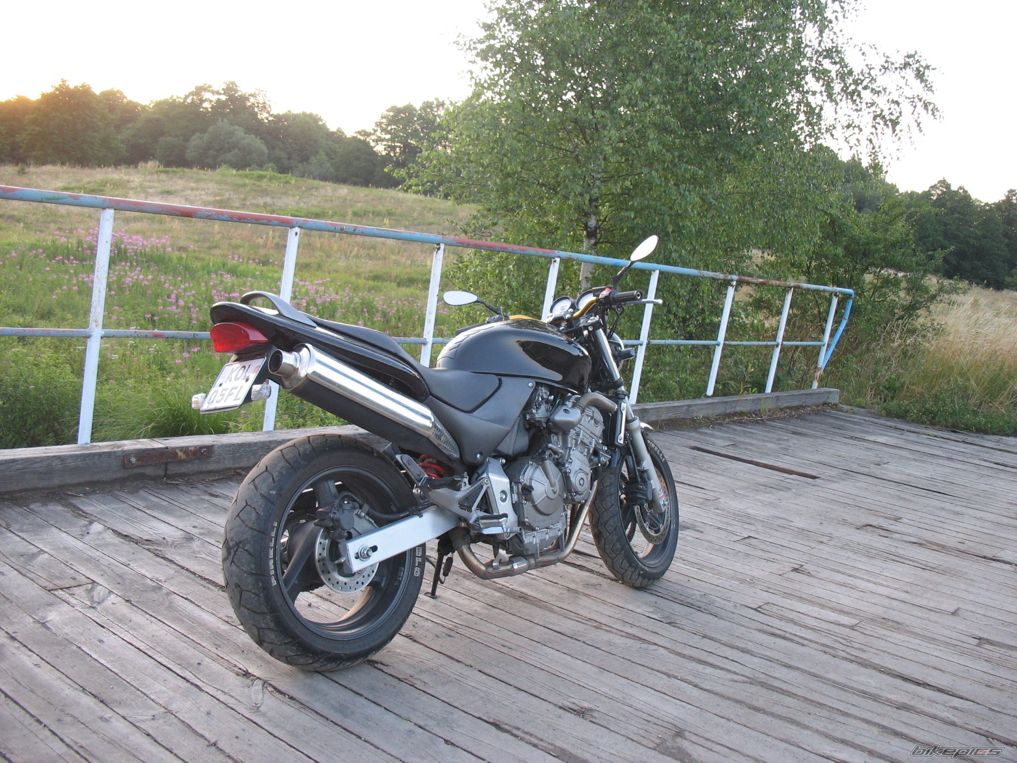 Photo 1348636