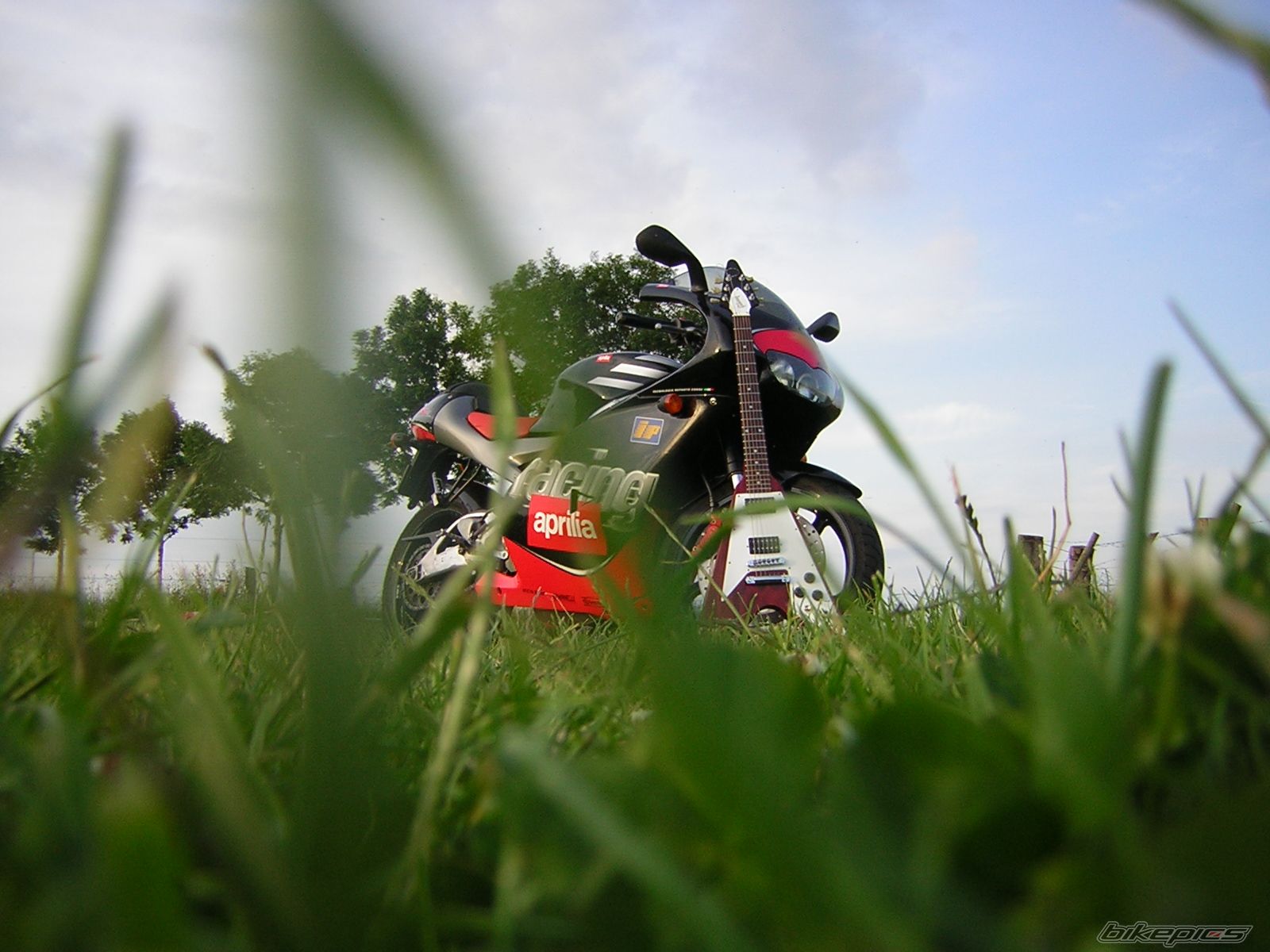 Photo 1348647