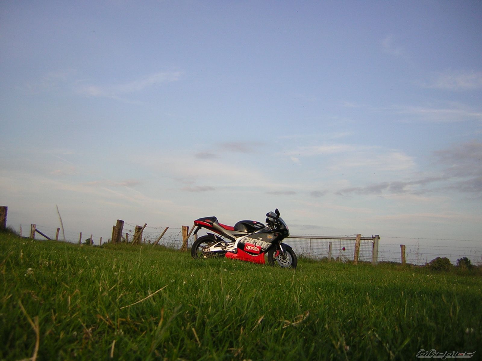 Photo 1348649
