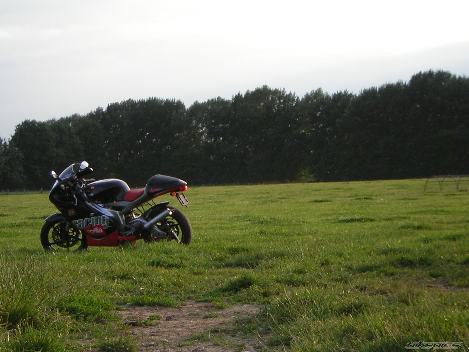Bike Photo 1348650
