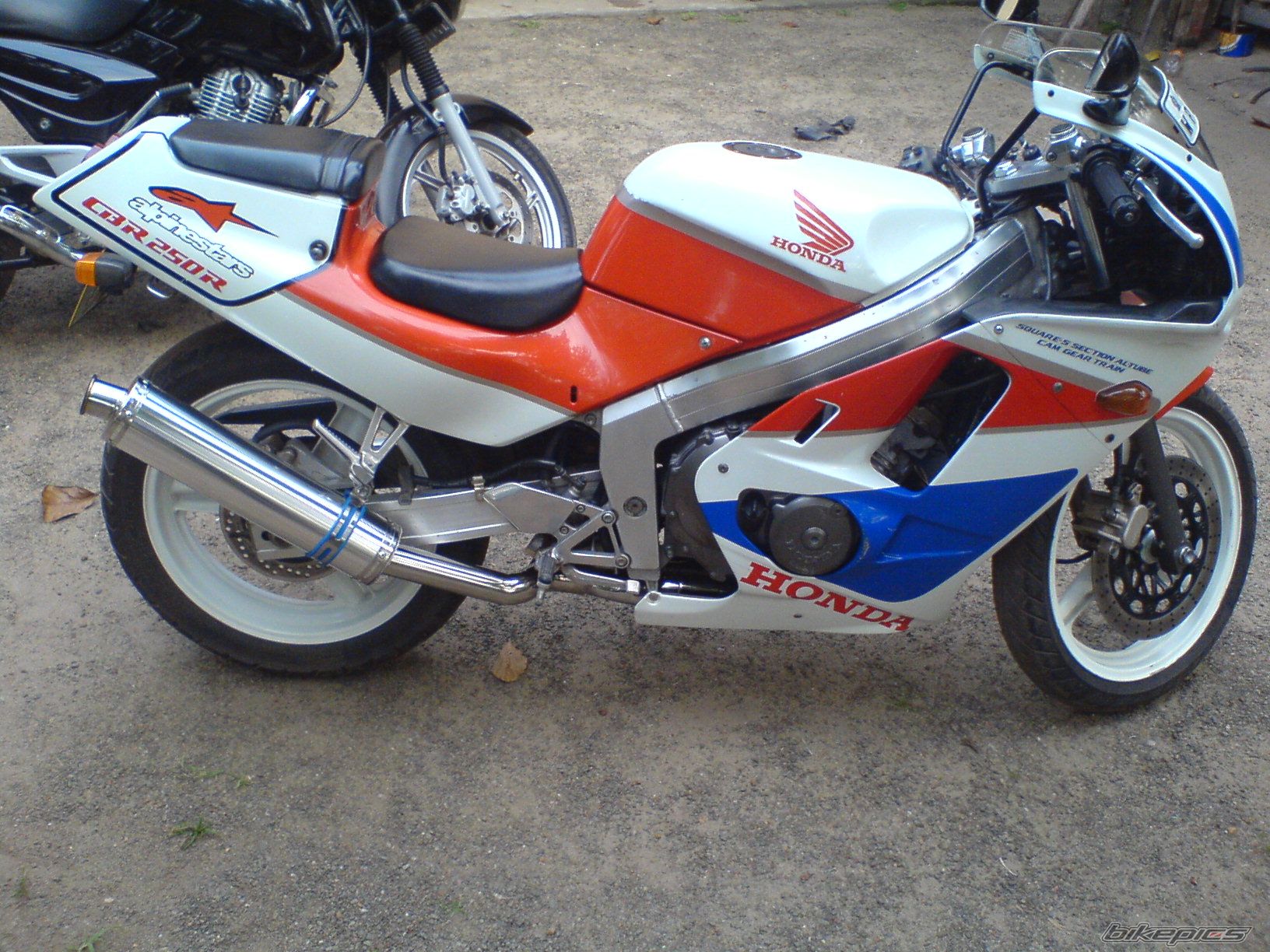 Photo 1348682