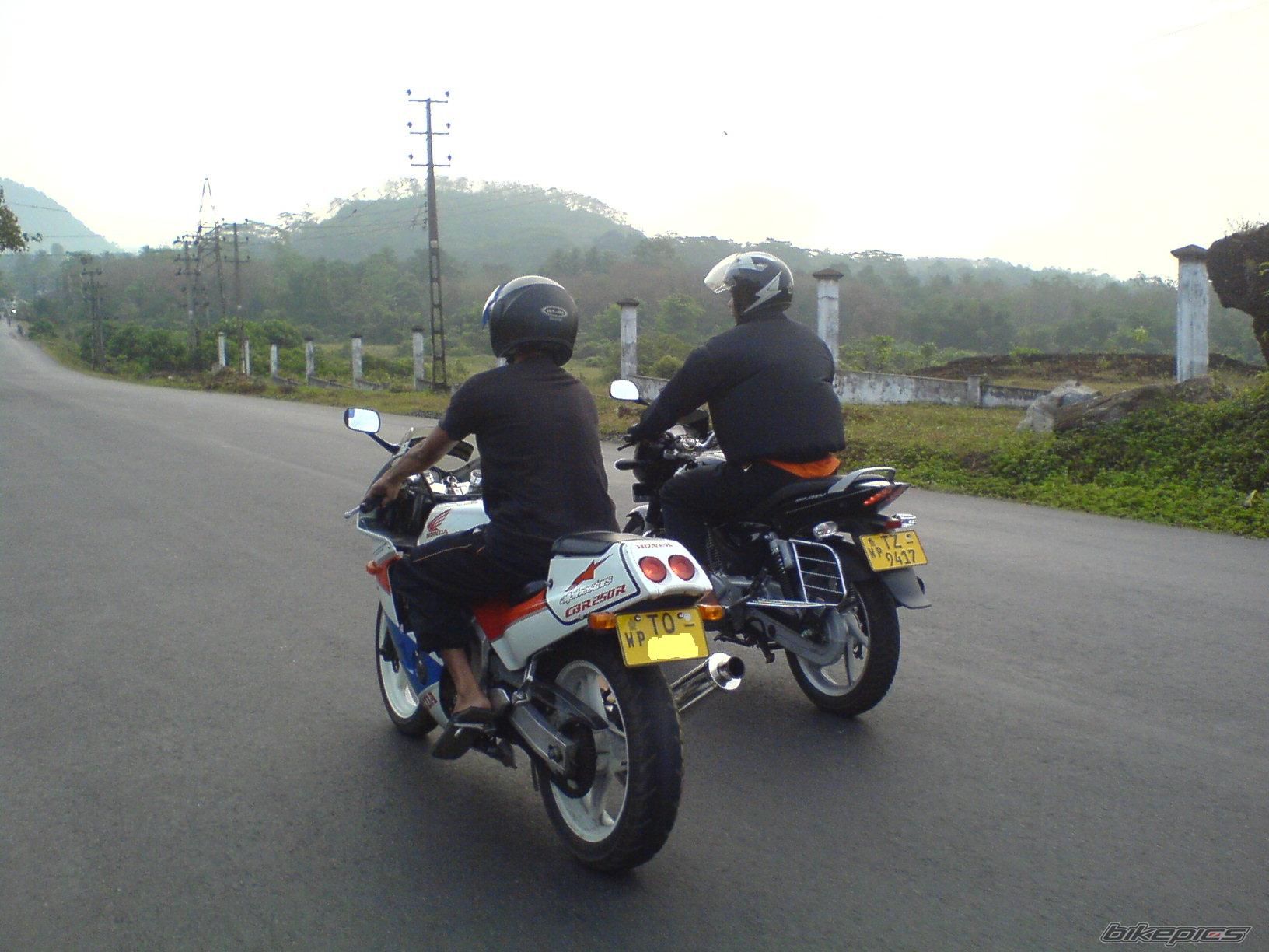 Photo 1348684
