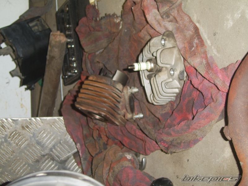 Photo 1348724