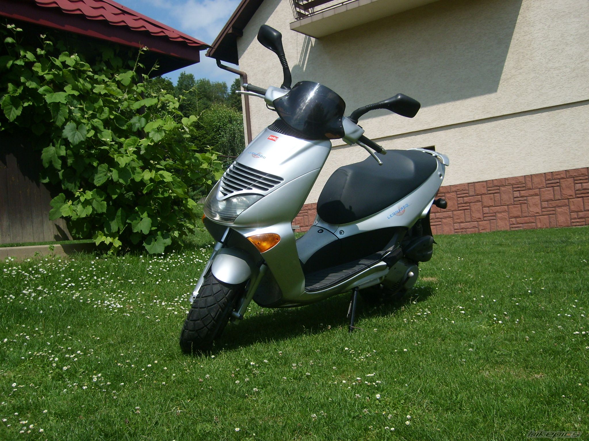Photo 1348746
