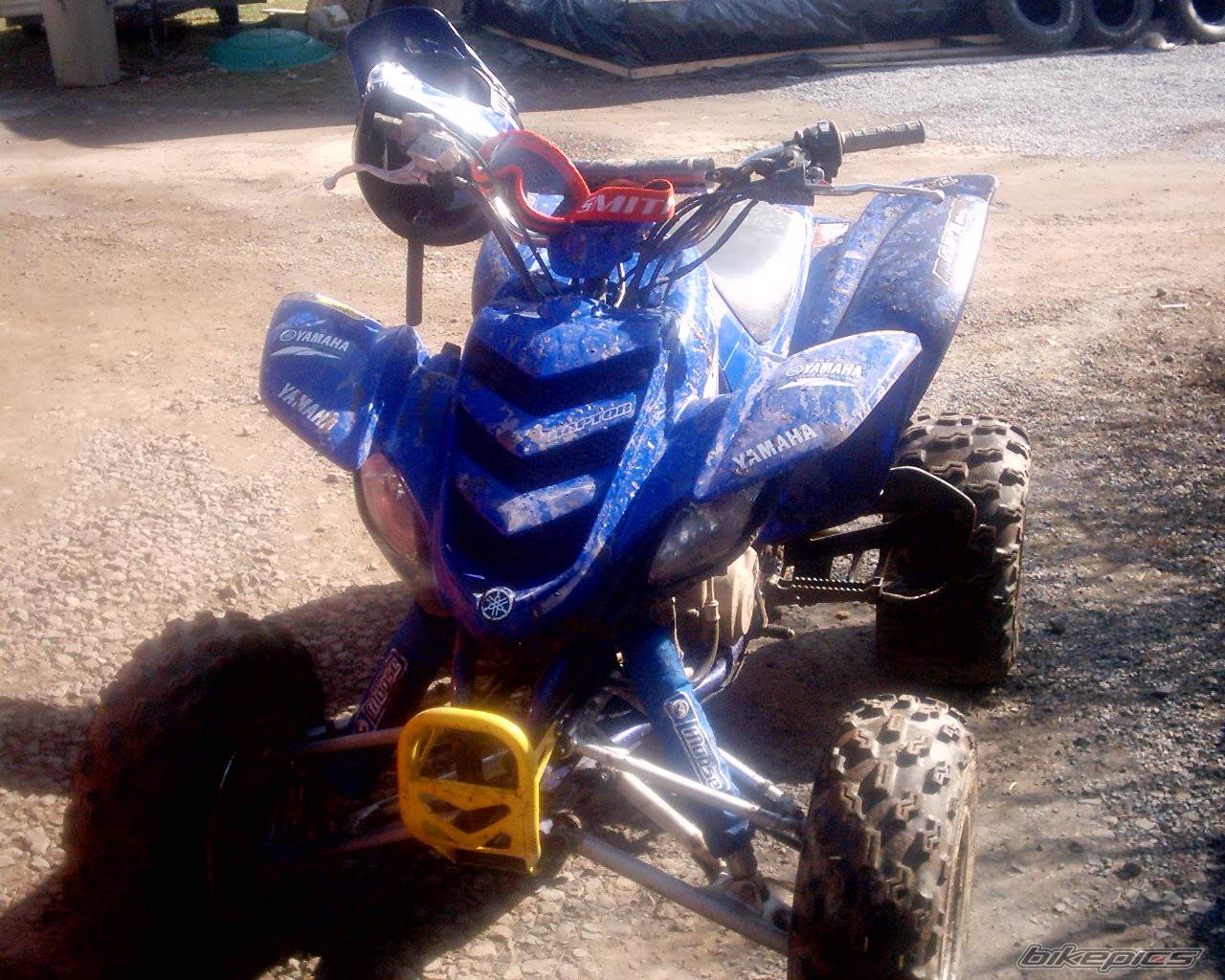 Photo 134881