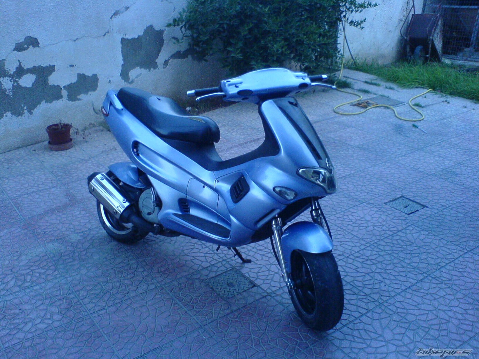 Photo 1348825
