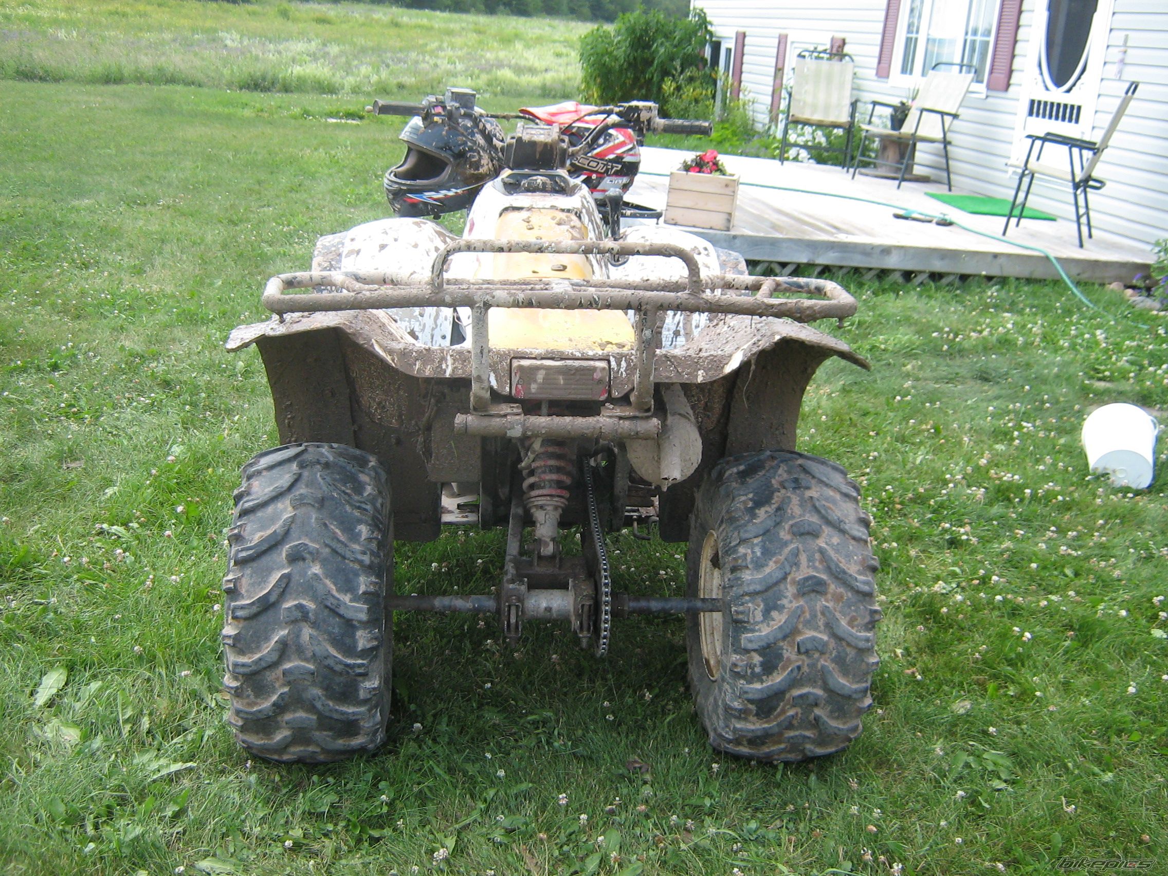 Photo 1348880