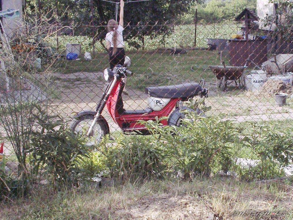 Photo 1348959