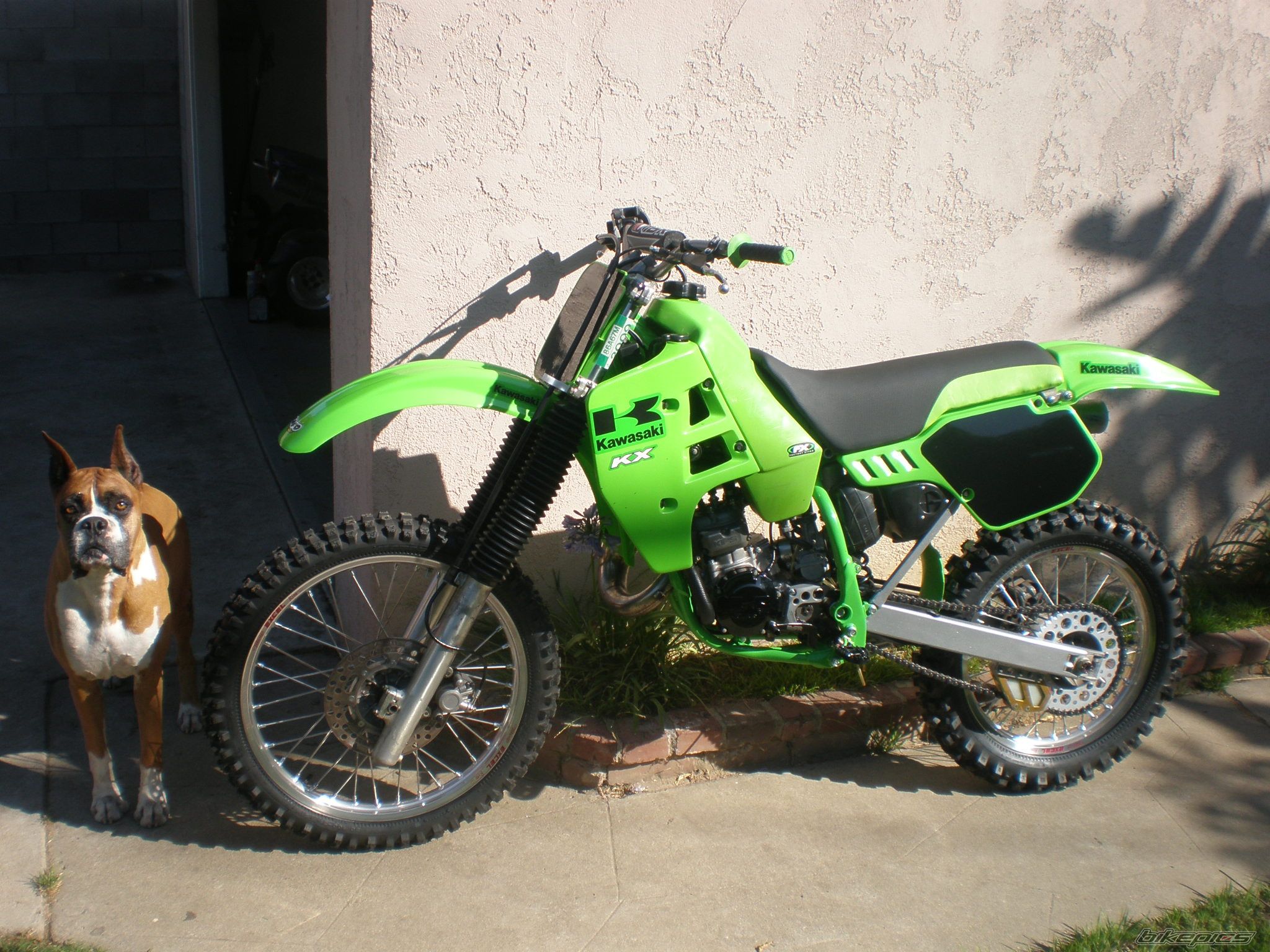 Bike Photo 1349124