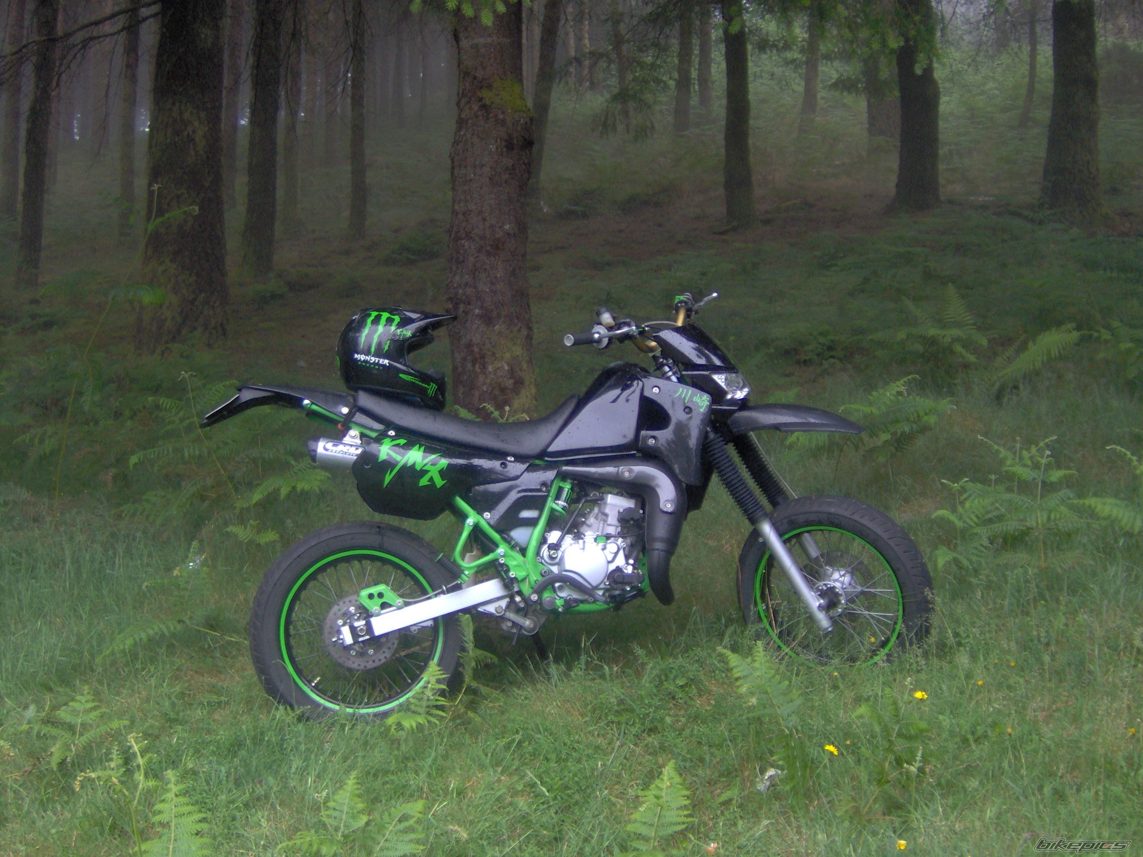 Photo 1349201