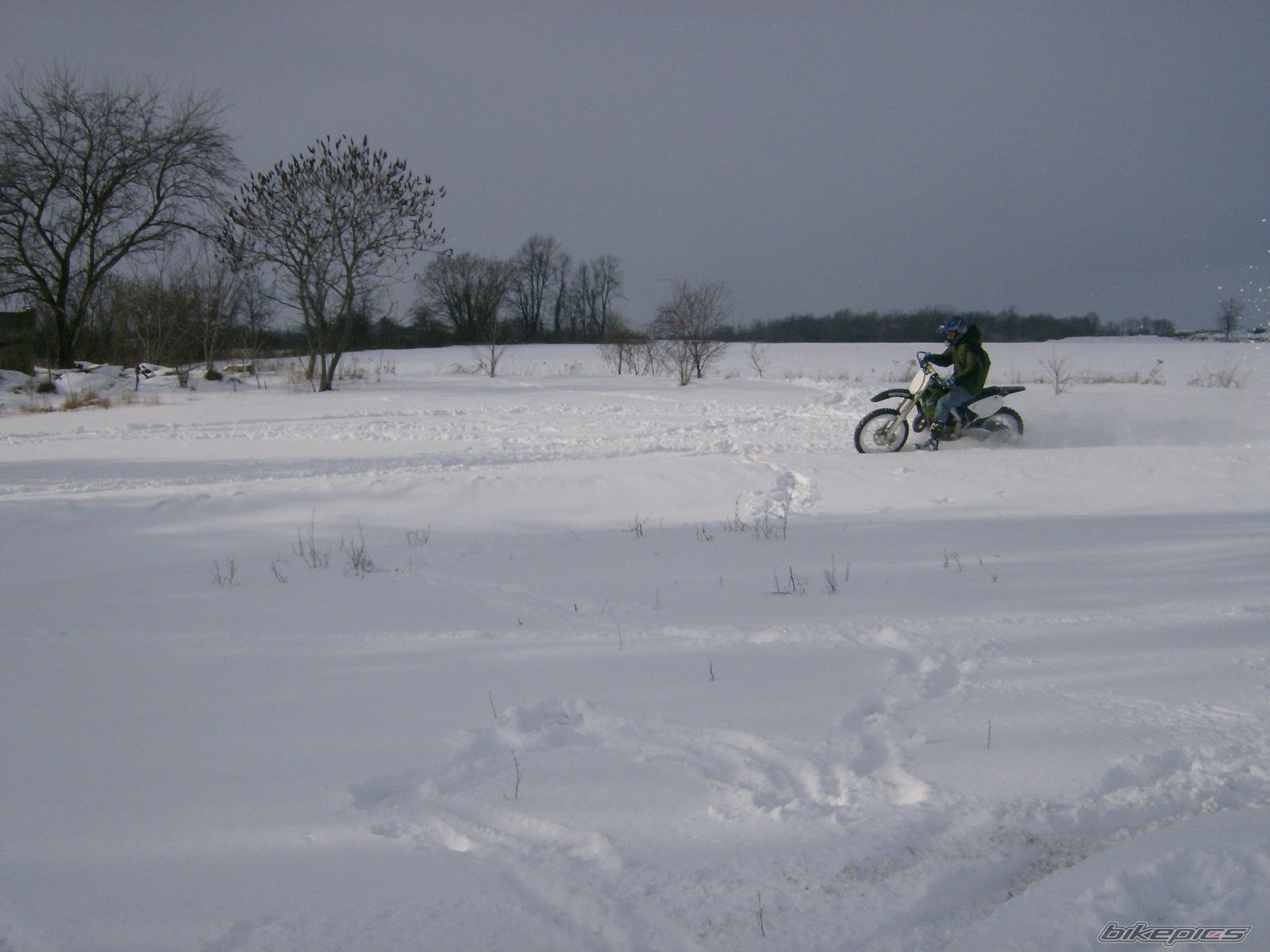 Photo 1349319