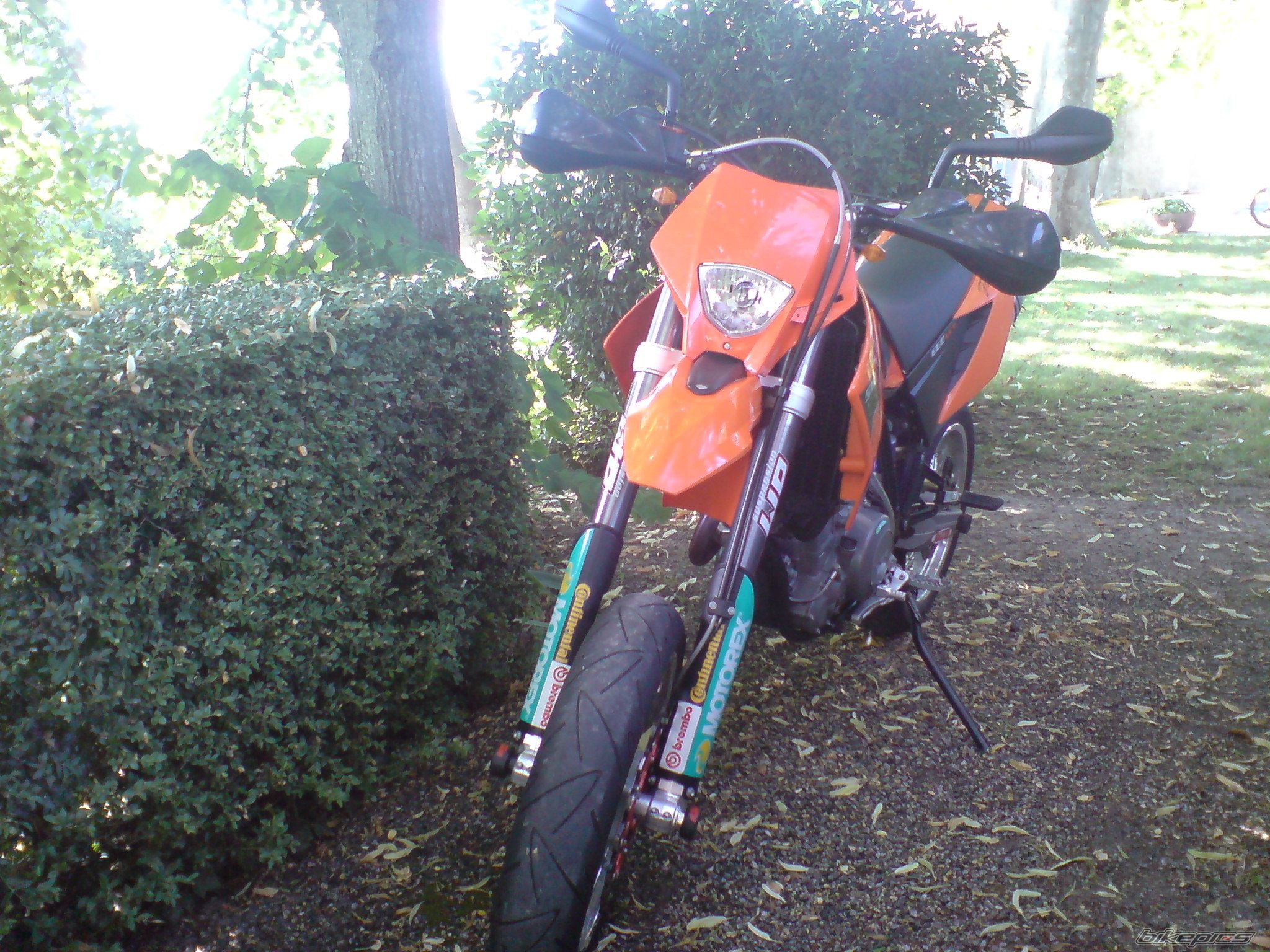 Photo 1349520