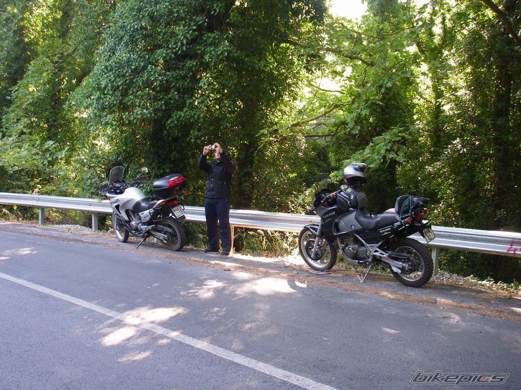 Photo 1349731
