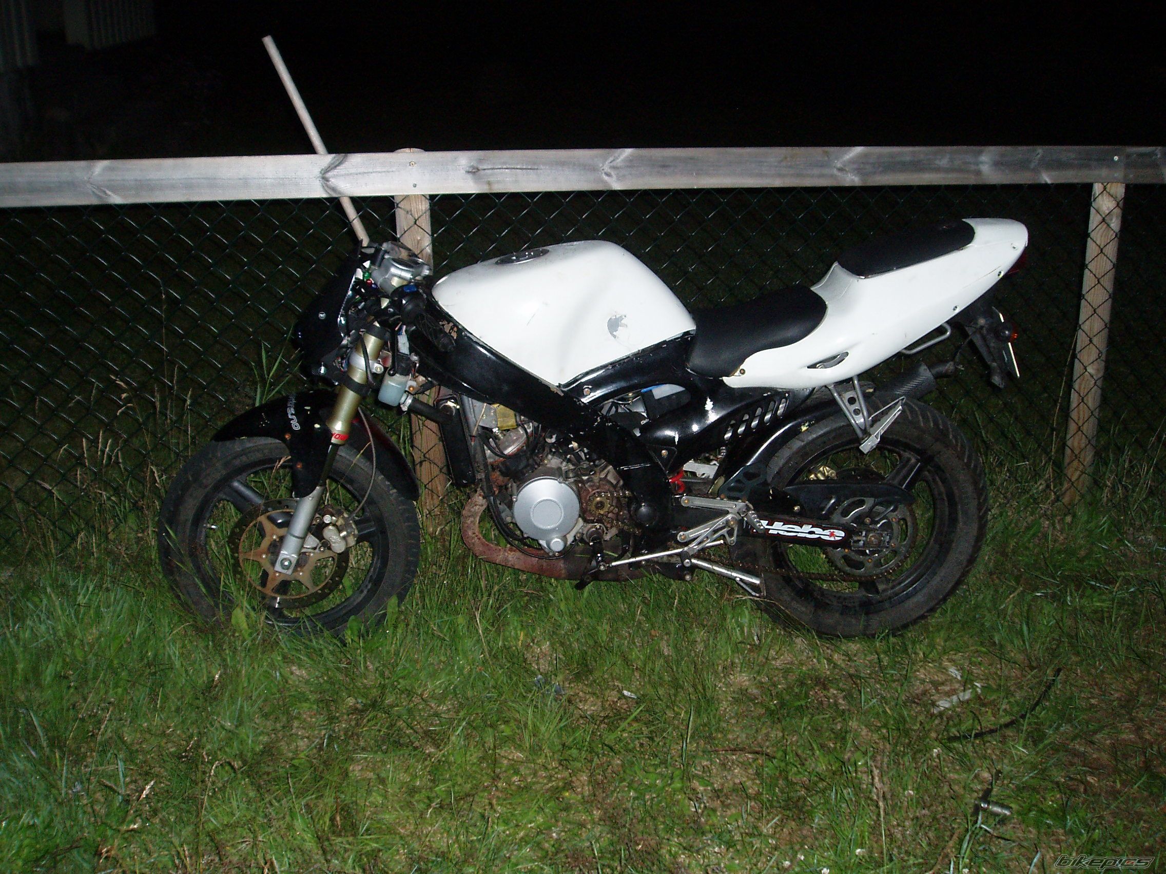 Photo 1349887