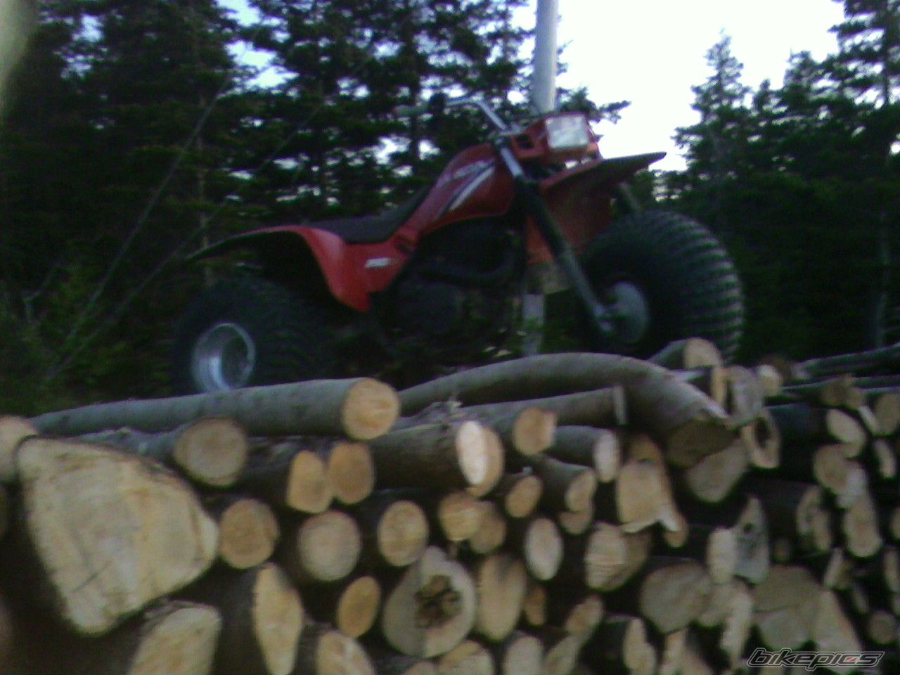 Photo 1349912