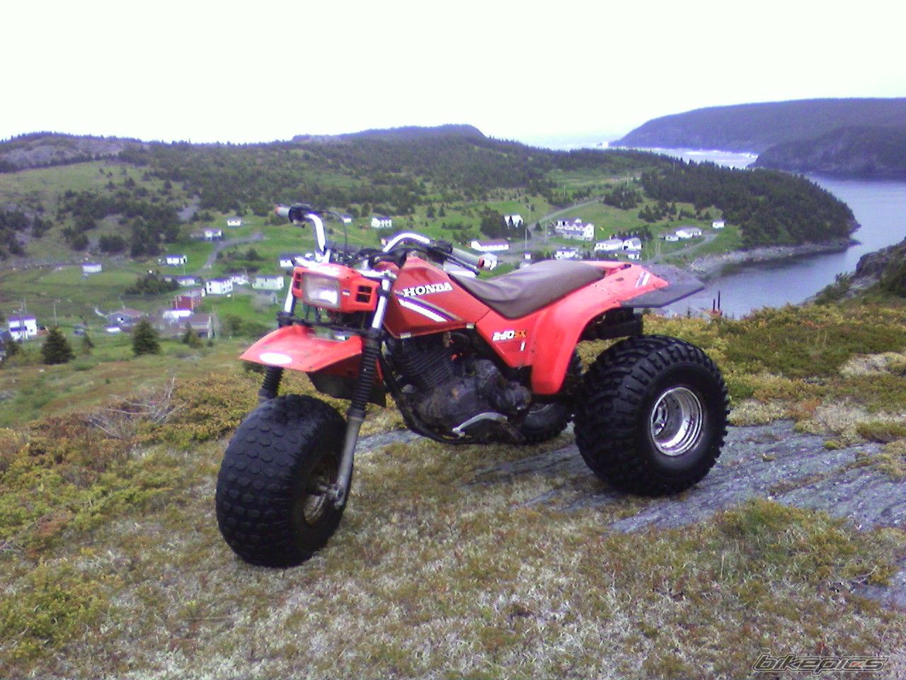 Photo 1349913