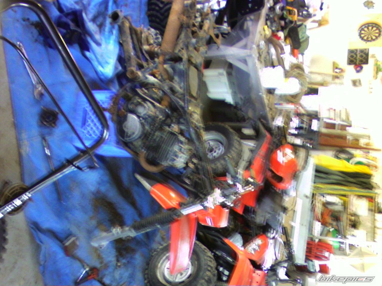 Photo 1349917