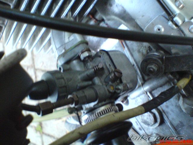 Photo 1349920
