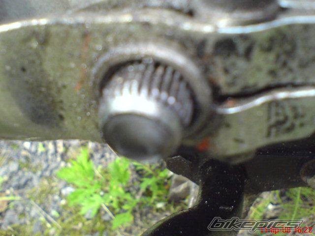 Photo 1349933