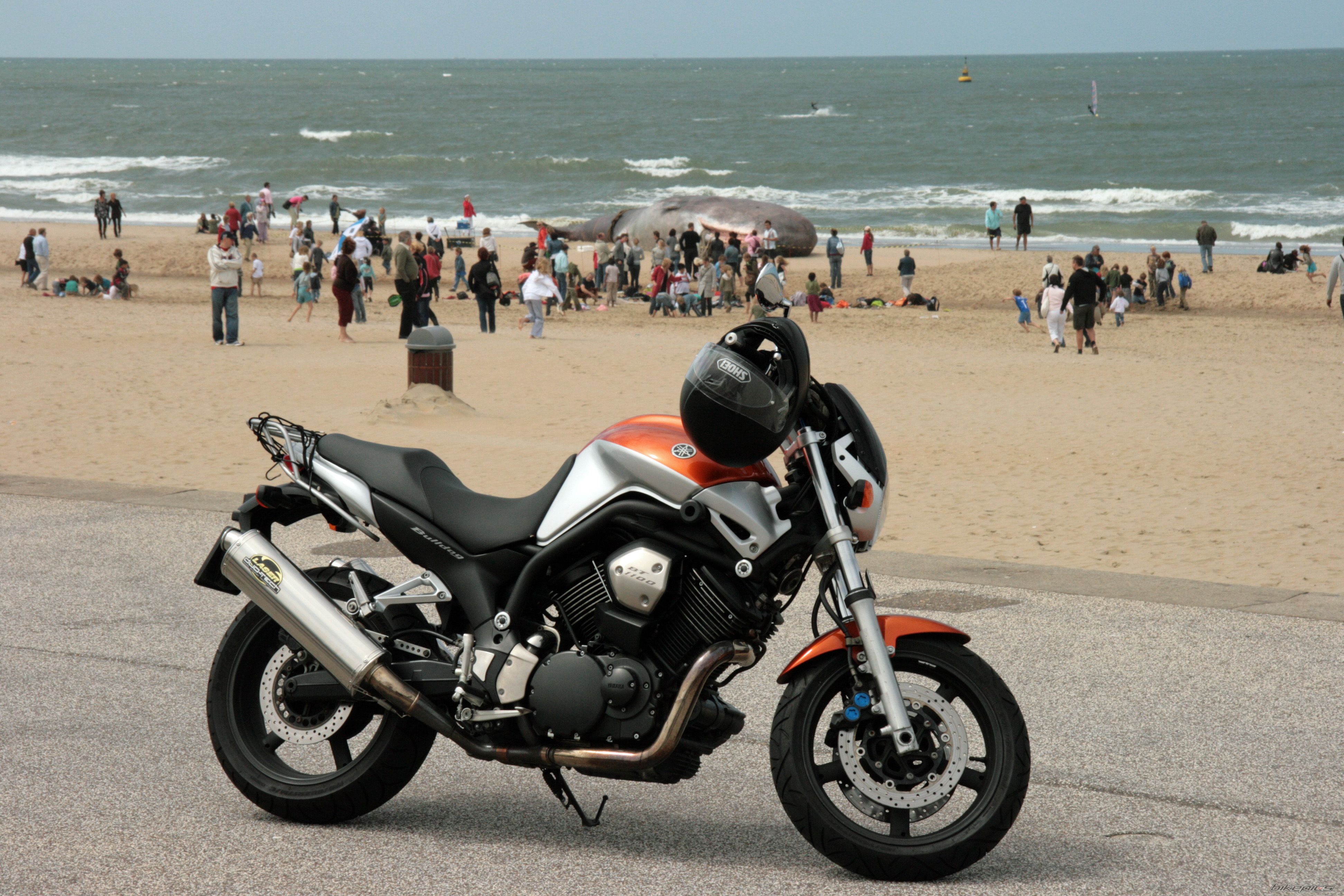 Bike Photo 1349948