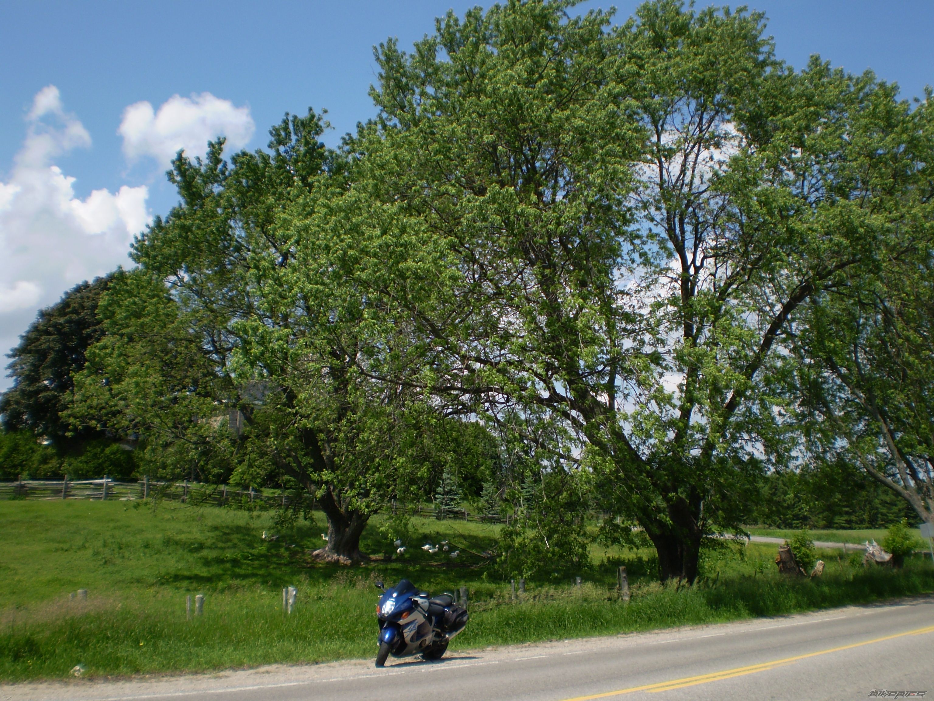 Photo 1349969