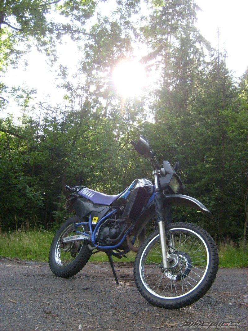 Photo 1349973