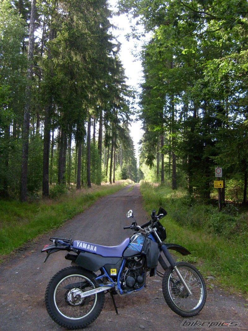 Photo 1349976