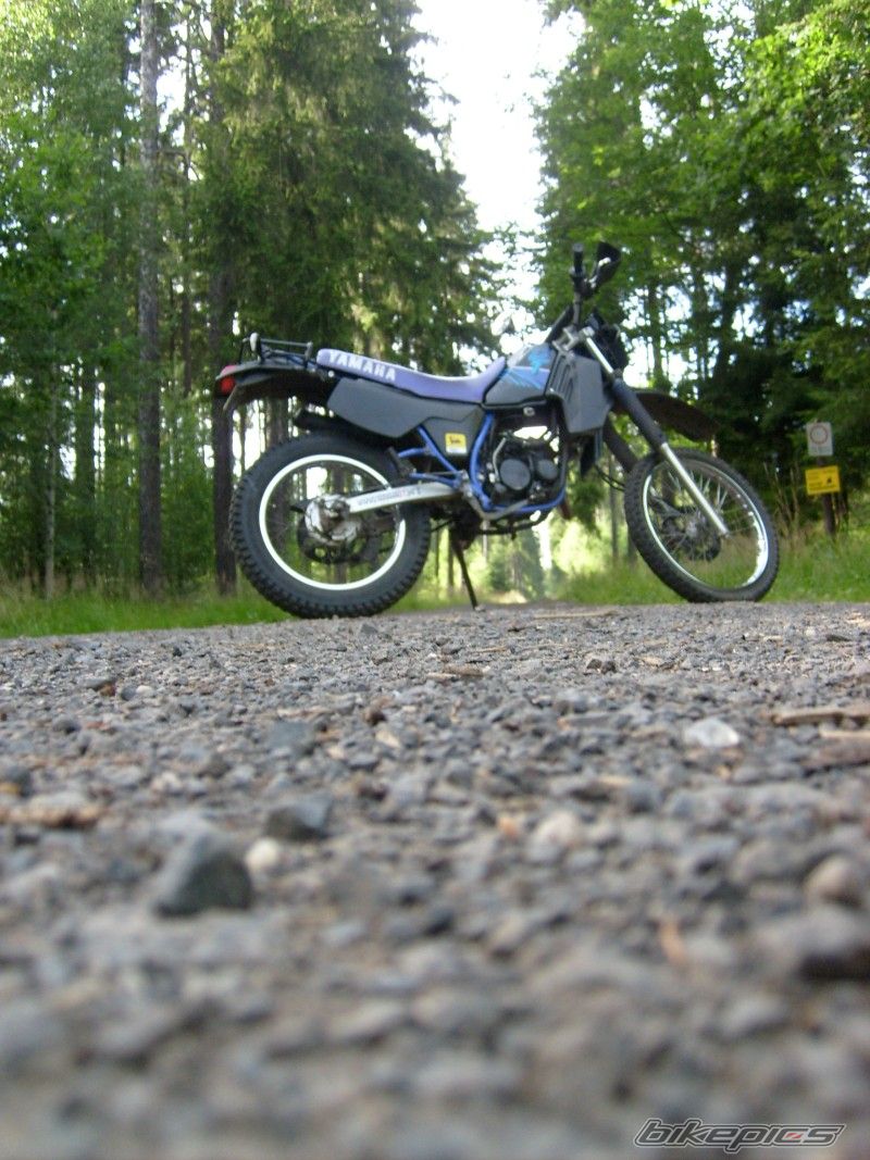 Photo 1349977