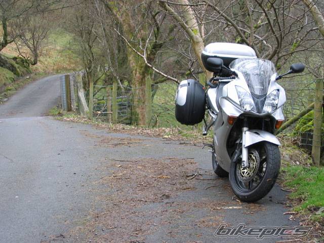 Photo 135009
