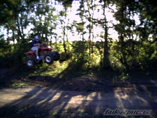 Photo 13501