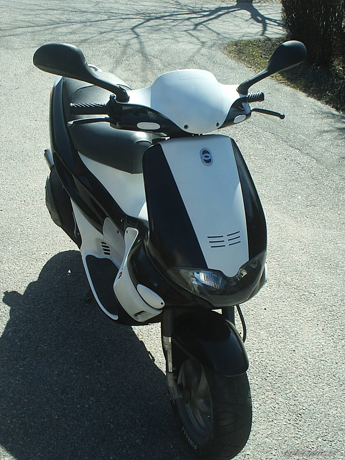 Photo 135020