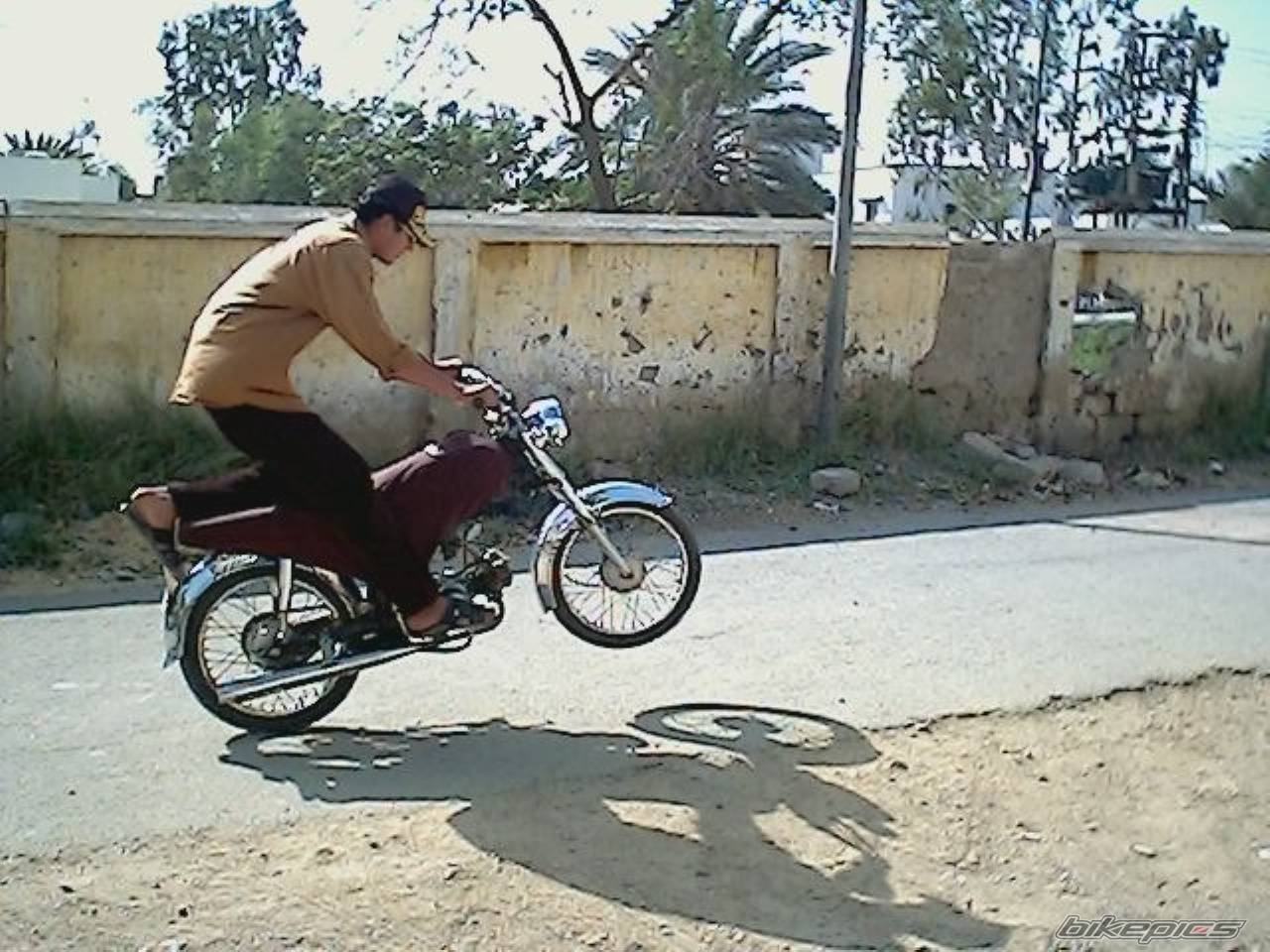 Photo 135040