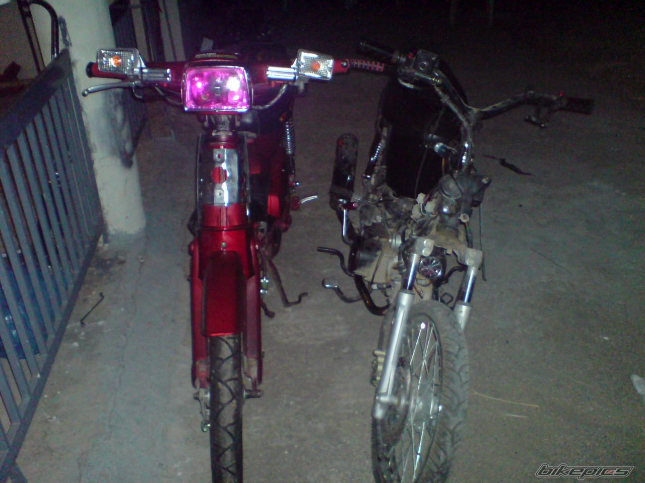 Photo 1350909