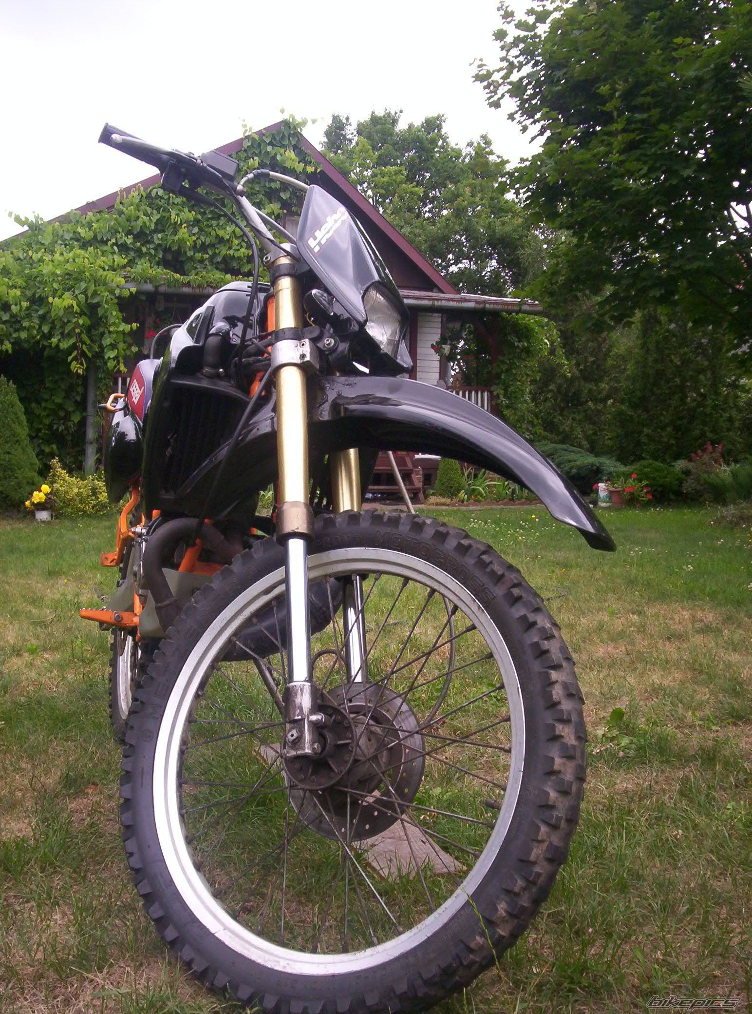 Photo 1350956