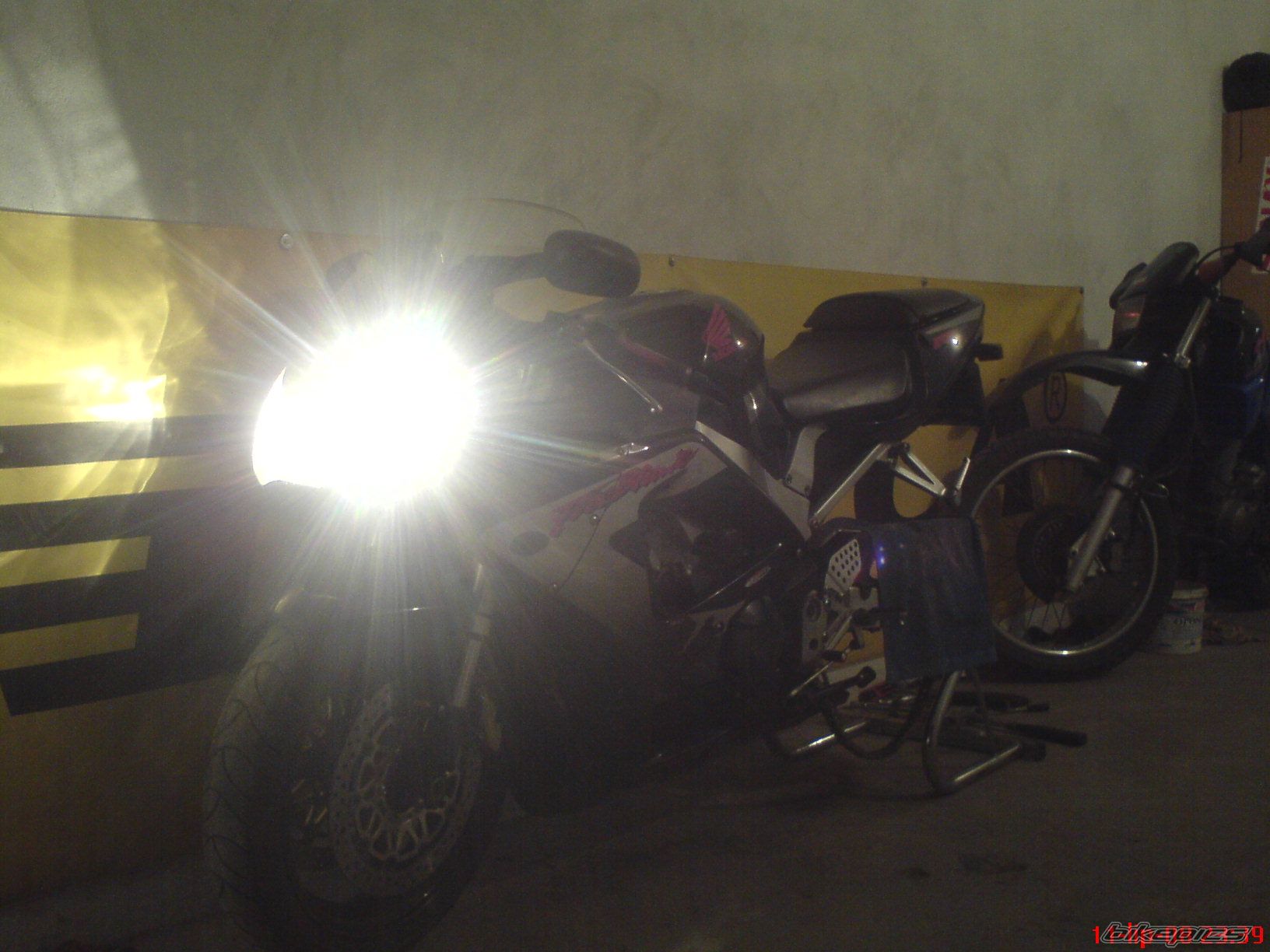 Photo 1350994