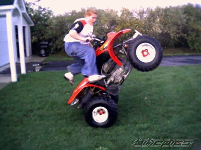 Photo 13510