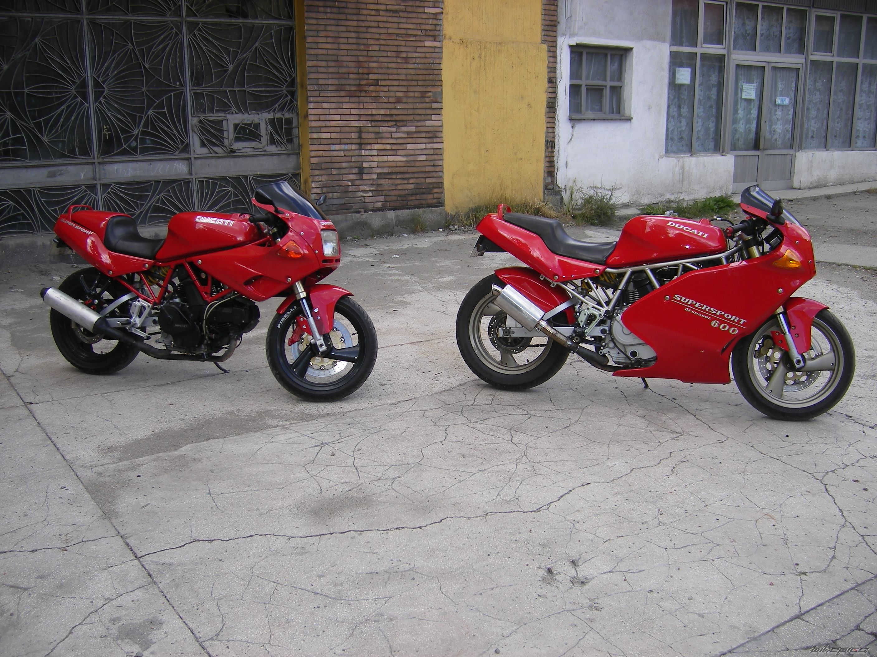 Photo 1351048